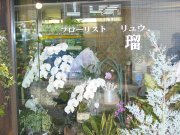 「フローリスト瑠」　（東京都文京区）の花屋店舗写真2